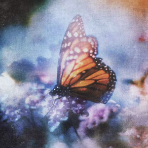 99久久国语露脸精品国产麻豆
