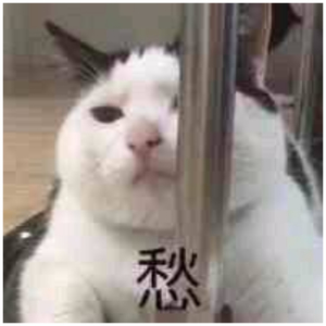 99久久国语露脸精品国产麻豆
